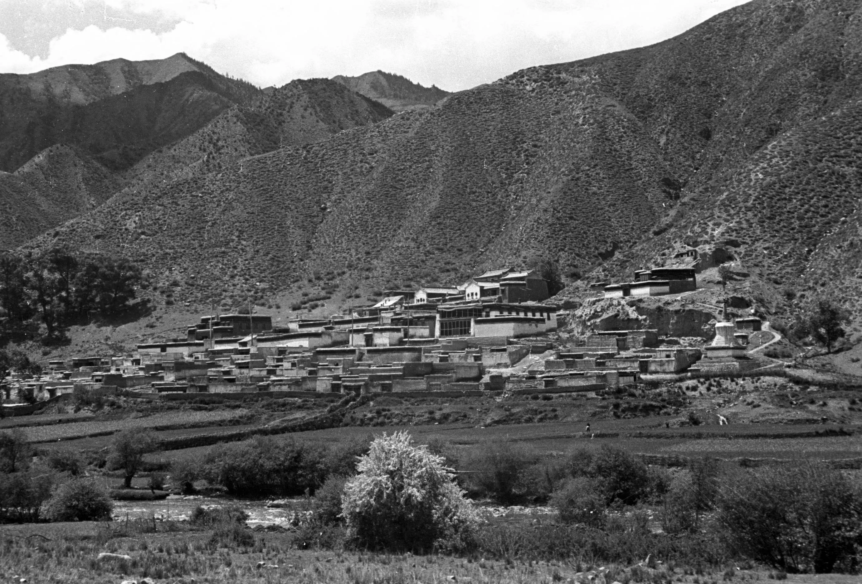 Harrison Forman于1937年拍摄的拉卜楞寺全景
