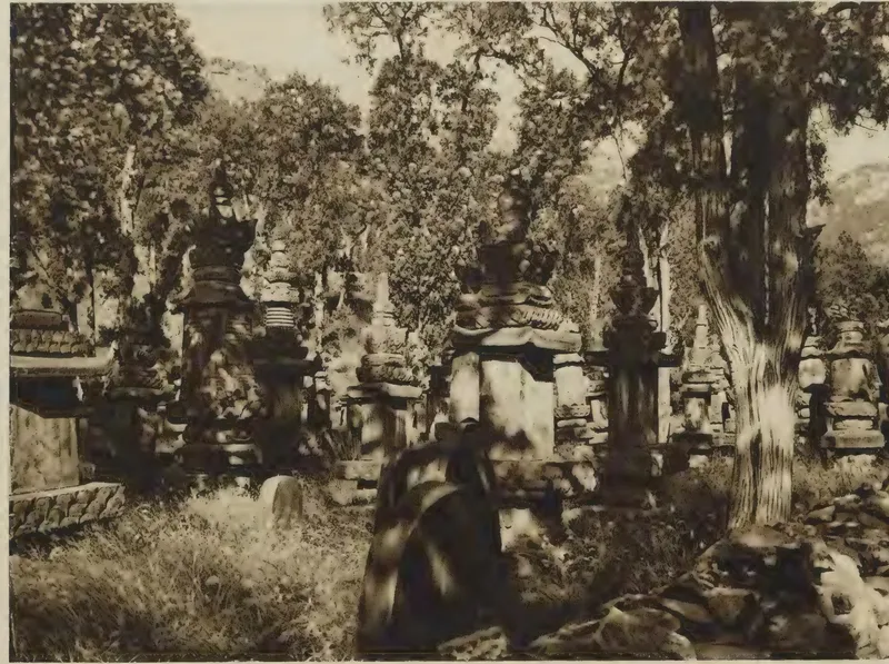 恩斯特·柏石曼1906至1909年拍摄的灵岩寺墓塔林