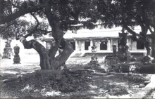 泉州开元寺 - quanzhou kaiyuansi old 04