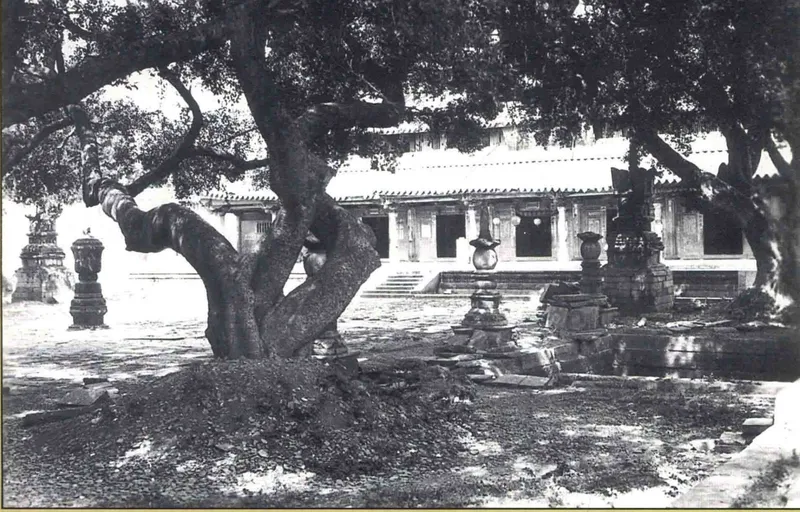 《中国古建筑图典》第二卷所收泉州开元寺大殿庭院旧影
